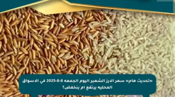 «تحديث هام» سعر الأرز الشعير اليوم الجمعة 8-8-2025 في الأسواق المحلية يرتفع أم ينخفض؟